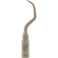 PH1<p>Universal Carbon Tip</p>